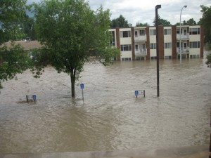 flood-pic1